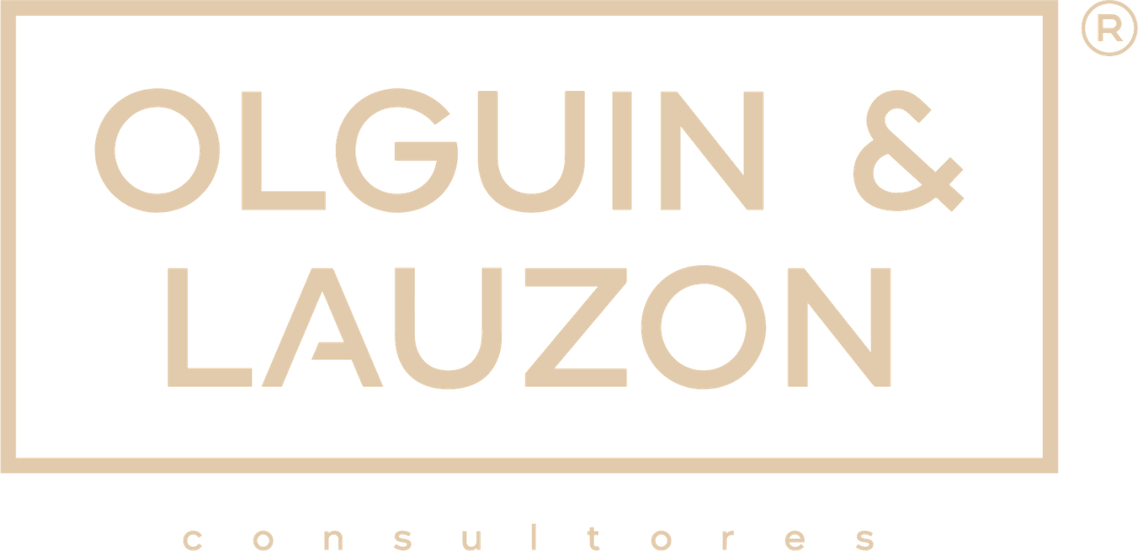Olguin Lauzon Consultores